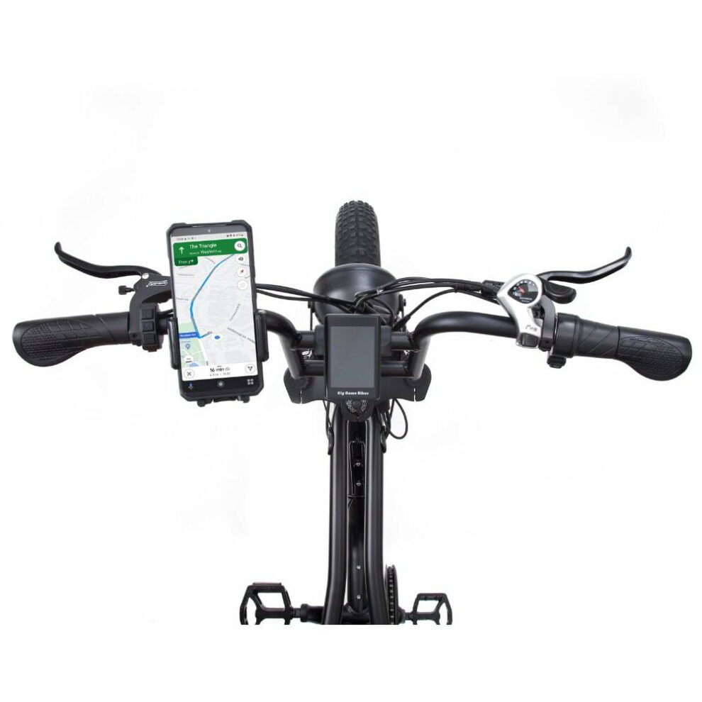Warthog 750w Cruiser eBike - BikeVentures