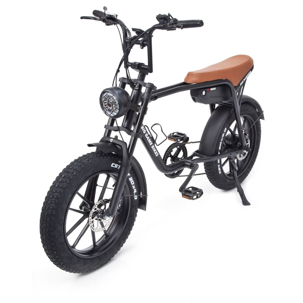 Warthog 750w Cruiser eBike - BikeVentures