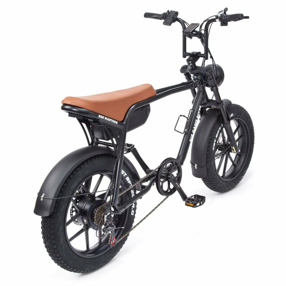 Warthog 750w Cruiser eBike - BikeVentures