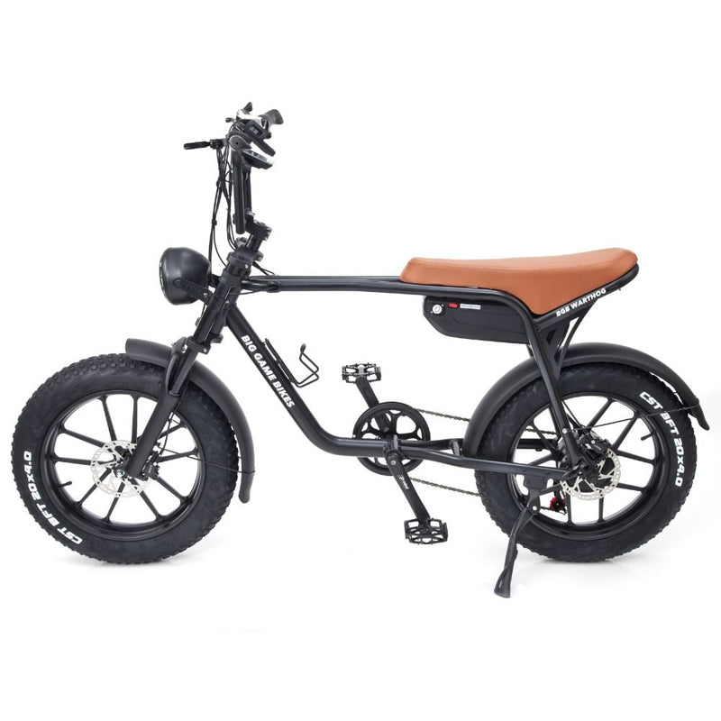 Warthog 750w Cruiser eBike - BikeVentures