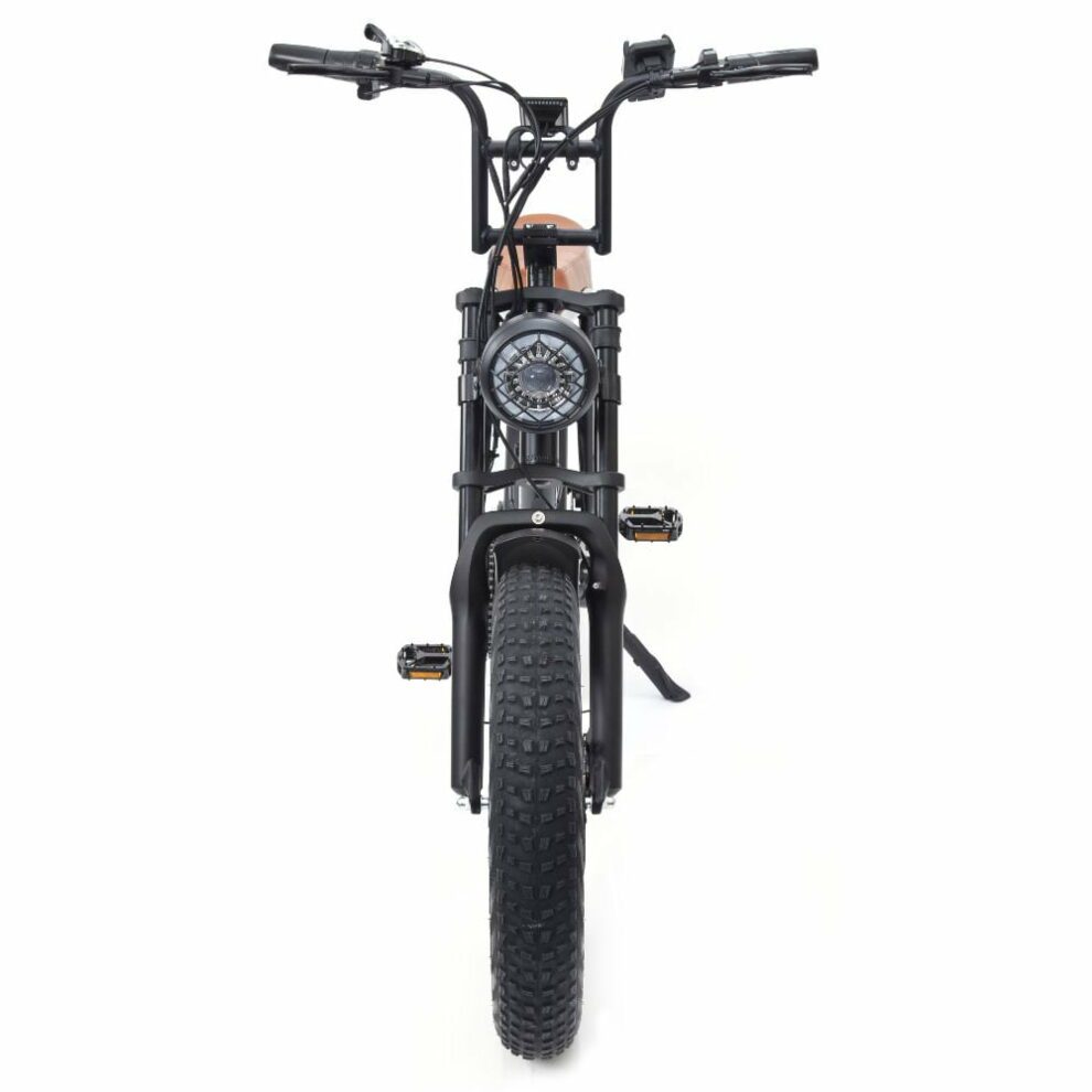 Warthog 750w Cruiser eBike - BikeVentures