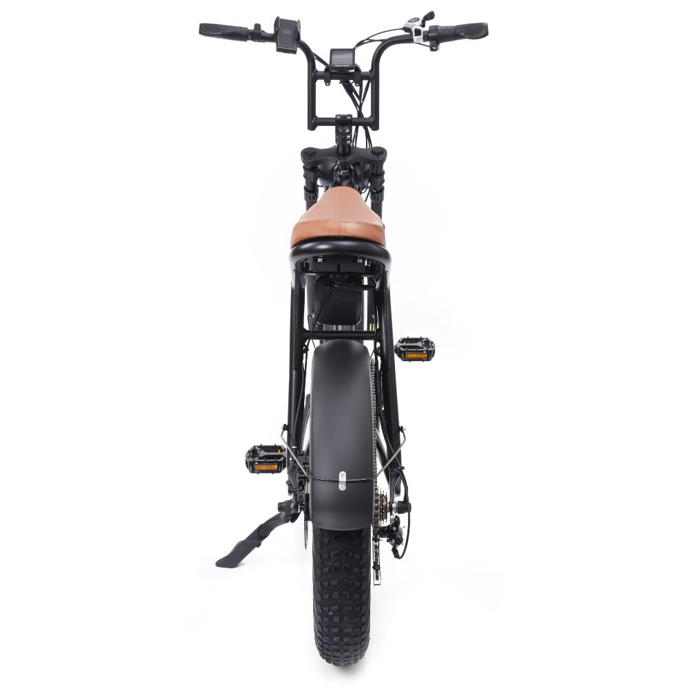 Warthog 750w Cruiser eBike - BikeVentures