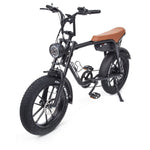 Warthog 750w Cruiser eBike