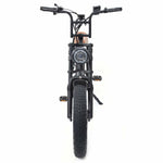 Warthog 750w Cruiser eBike