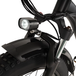 Buffalo 750w Mountain eBike
