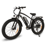 Buffalo 750w Mountain eBike