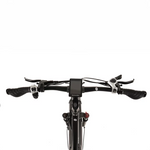 Buffalo 750w Mountain eBike