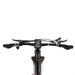 Buffalo 750w Mountain eBike