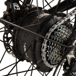 Buffalo 750w Mountain eBike