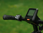 ROXFORM IGNIS Fat Tyre- Folding E-Bike
