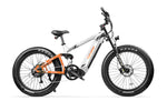 Cyrusher -Ranger Mountain All-Terrain Ebike