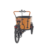 Aitour Cargo Bike - Family C - BikeVentures