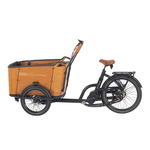 Aitour Cargo Bike - Family C - BikeVentures