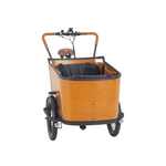 Aitour Cargo Bike - Family C - BikeVentures
