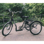 AMCargoBikes Low Step Adult Electric Tricycle, 24″ Wheel – Black - BikeVentures