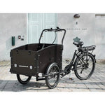 AMCARGOBIKES ULTIMATE CURVE CARGO ELECTRIC BIKE TRICYCLE – 250W, SEATS UP TO 4 CHILDREN - BikeVentures