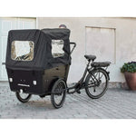 AMCargoBikes Ultimate Harmony Cargo Electric Bike Tricycle – 250W, Seats Up to 4 Children - BikeVentures