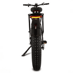 Buffalo 750w Mountain eBike - BikeVentures