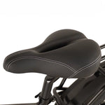 Buffalo 750w Mountain eBike - BikeVentures