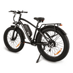 Buffalo 750w Mountain eBike - BikeVentures