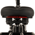 Buffalo 750w Mountain eBike - BikeVentures