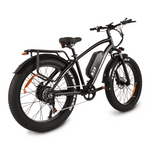 Buffalo 750w Mountain eBike - BikeVentures