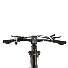 Buffalo 750w Mountain eBike - BikeVentures
