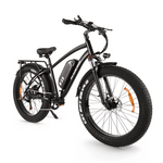 Buffalo 750w Mountain eBike - BikeVentures