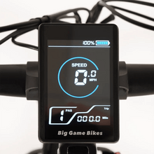 Buffalo 750w Mountain eBike - BikeVentures