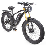 Buffalo Alpha Plus 250w Mountain eBike - BikeVentures