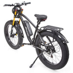 Buffalo Alpha Plus 250w Mountain eBike - BikeVentures