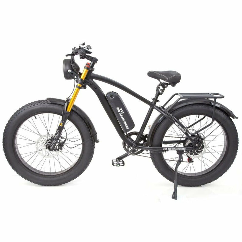 Buffalo Alpha Plus 250w Mountain eBike - BikeVentures