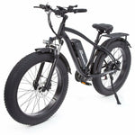 Buffalo Alpha Plus 250w Mountain eBike - BikeVentures