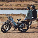 Cyrusher Aura Step - Through All - Terrain Fat - Tyre Electric Bike 250W (3 colours) - BikeVentures