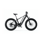 CYRUSHER ZENITH STEP - OVER ALL - TERRAIN FAT - TYRE ELECTRIC BIKE - 250W (3 colours) - BikeVentures