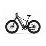CYRUSHER ZENITH STEP - OVER ALL - TERRAIN FAT - TYRE ELECTRIC BIKE - 250W (3 colours) - BikeVentures