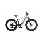 CYRUSHER ZENITH STEP - OVER ALL - TERRAIN FAT - TYRE ELECTRIC BIKE - 250W (3 colours) - BikeVentures