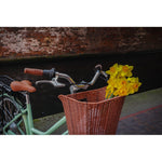 Dawes Elegance Low Step Electric Hybrid Bike - BikeVentures