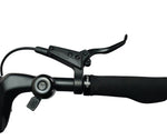 E - Go CarbonLite Folding E - Bike 250w (2 colours) - BikeVentures