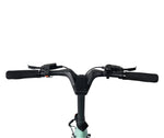 E - Go CarbonLite Folding E - Bike 250w (2 colours) - BikeVentures