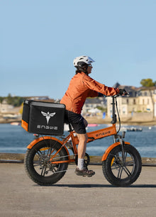 ENGWE EP - 2 Boost EU Legal | 55Nm Boost Power | Foldable Frame | 20*4.0 Fat Tires - BikeVentures