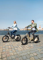 ENGWE L20 3.0 Pro 250W 100Nm Mid - drive Motor Full Suspension Compact E - bike - BikeVentures