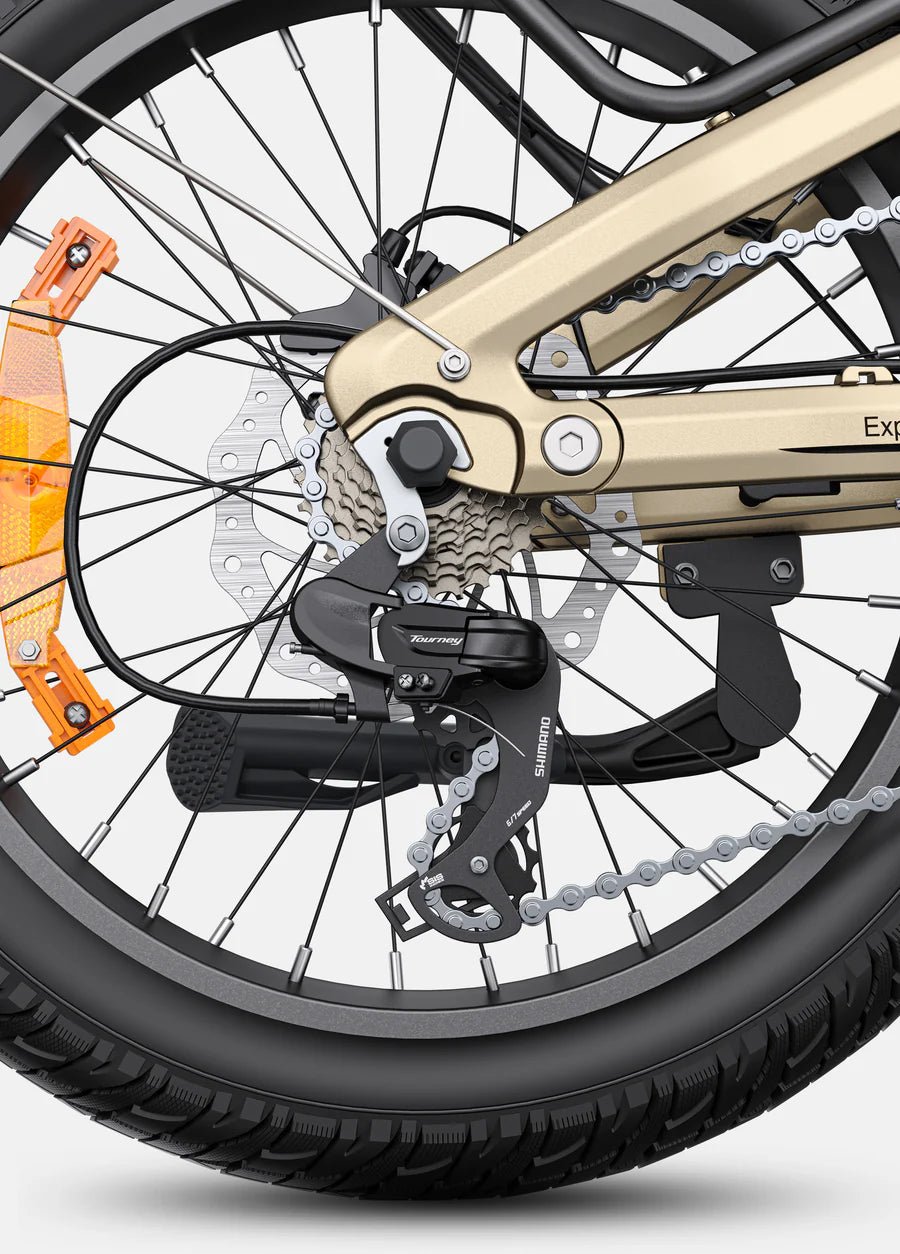 ENGWE L20 3.0 Pro 250W 100Nm Mid - drive Motor Full Suspension Compact E - bike - BikeVentures