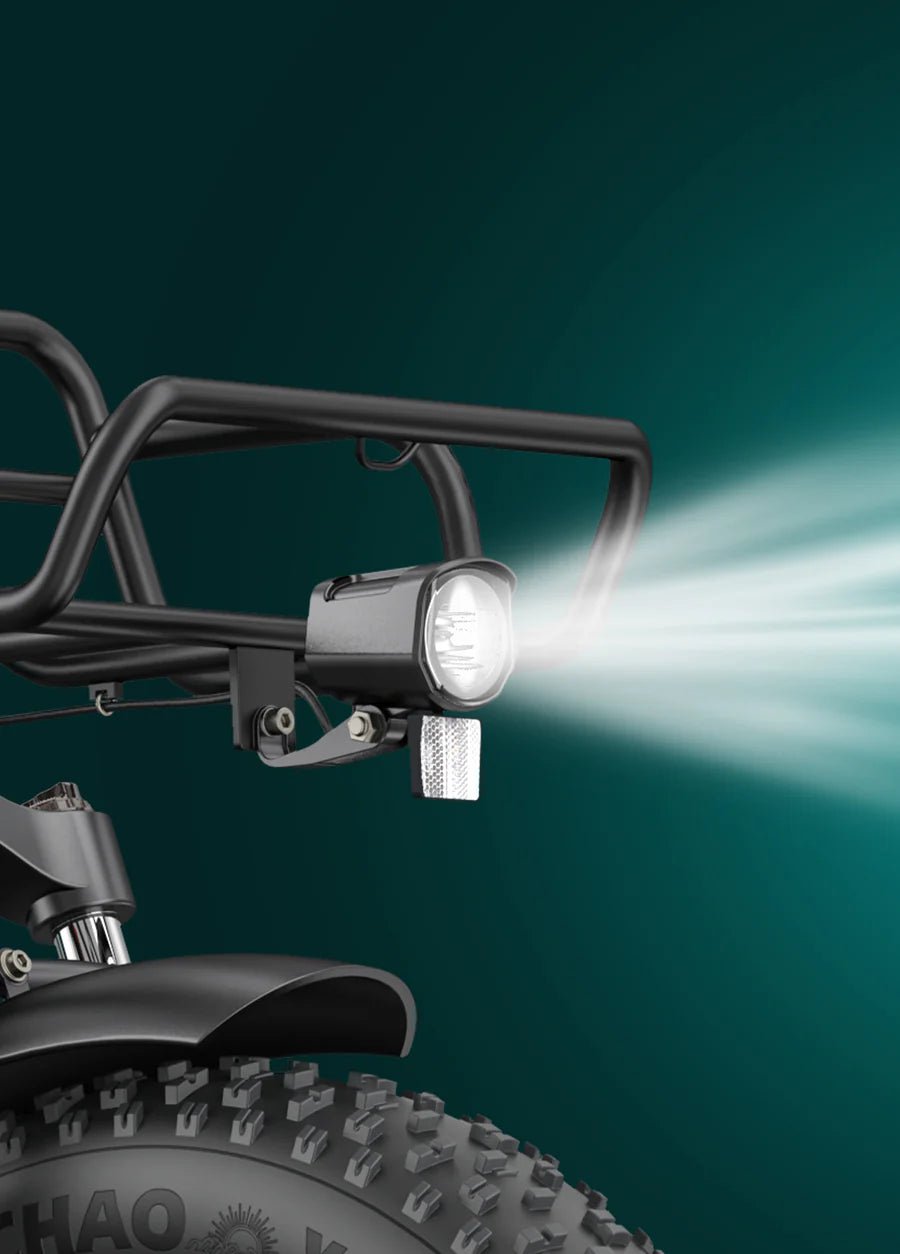 ENGWE L20 Boost - Step - Through - Fat Tyre - Electric - bike - 250 Watt - BikeVentures