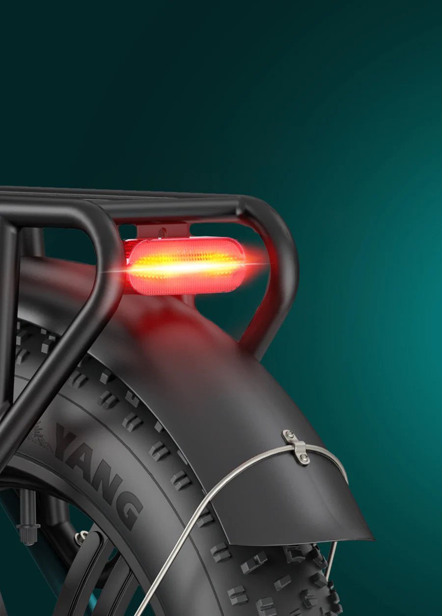 ENGWE L20 Boost - Step - Through - Fat Tyre - Electric - bike - 250 Watt - BikeVentures