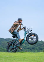 ENGWE L20 Boost - Step - Through - Fat Tyre - Electric - bike - 250 Watt - BikeVentures