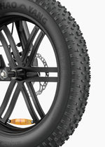 ENGWE L20 Boost - Step - Through - Fat Tyre - Electric - bike - 250 Watt - BikeVentures