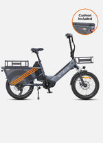 ENGWE LE20 250W Mid - drive Torque Sensor Step - Thru Cargo Ebike - BikeVentures