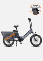 ENGWE LE20 250W Mid - drive Torque Sensor Step - Thru Cargo Ebike - BikeVentures