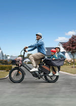 ENGWE LE20 250W Mid - drive Torque Sensor Step - Thru Cargo Ebike - BikeVentures